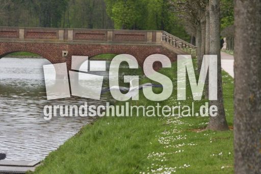 Graureiher-A 243.jpg